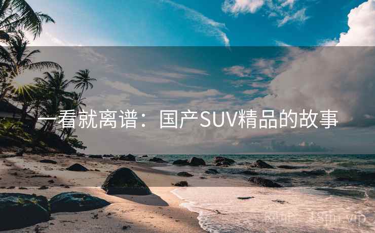 一看就离谱：国产SUV精品的故事