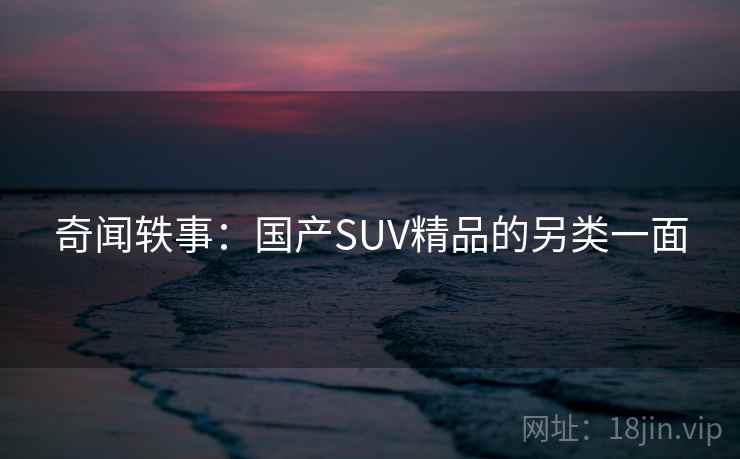奇闻轶事:国产SUV精品的另类一面 奇闻轶事:国产SUV精品的另类一面